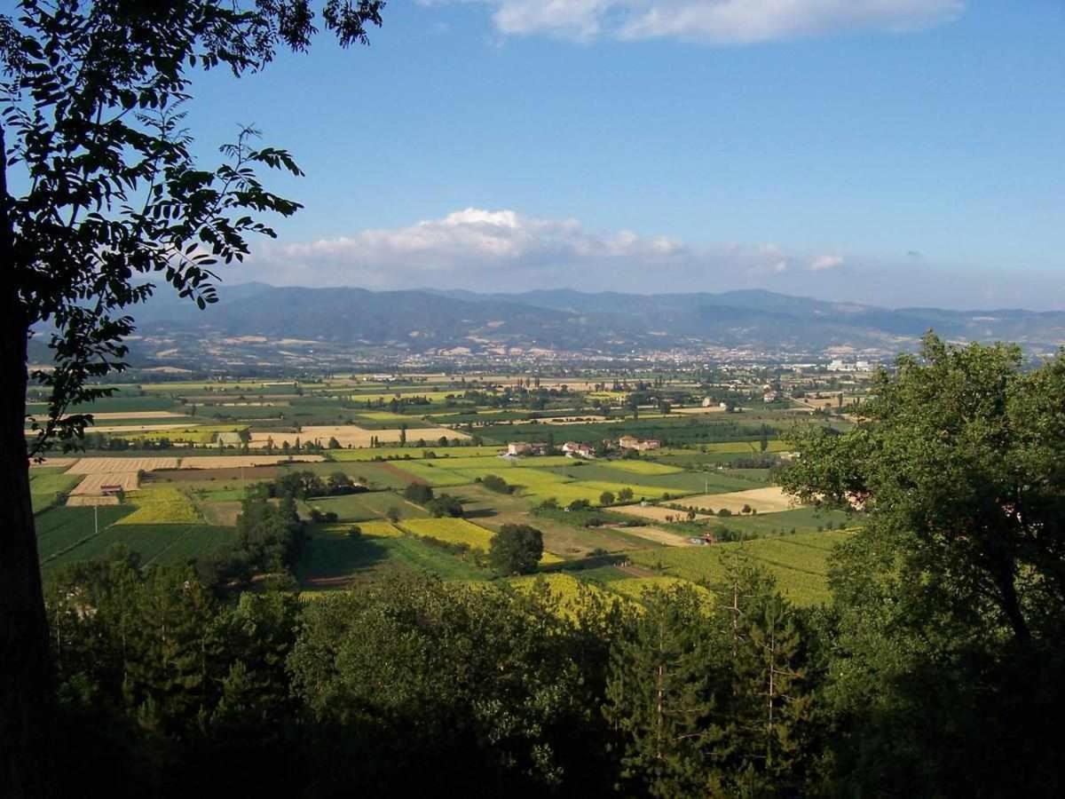 Appartamenti Con Cucina Nelle Colline Toscane Ангьяри Экстерьер фото